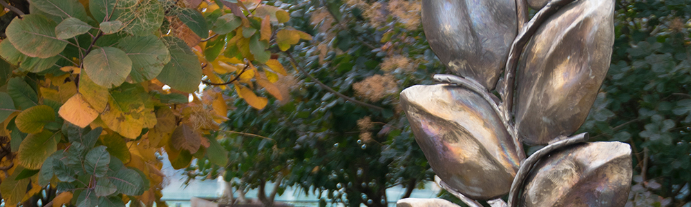 Photo of a leaf sculpture at OHSU Dermatology.
