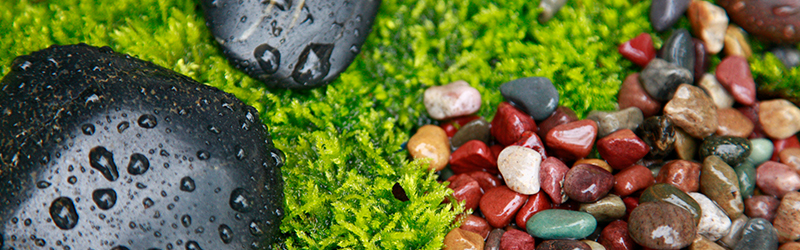 A zen garden of rocks