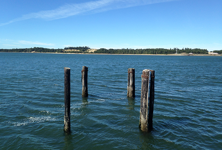 Old pier pylons in the bay off of the South Coast of Oregon