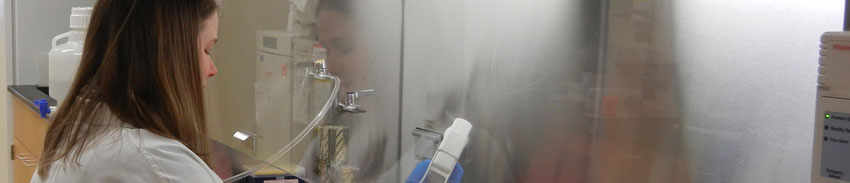 Woman researching in Hinds Lab.