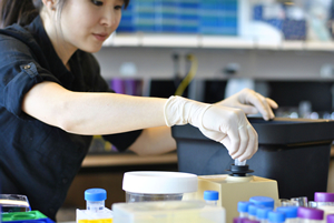 A researcher tests samples in the Shin Lab at OHSU