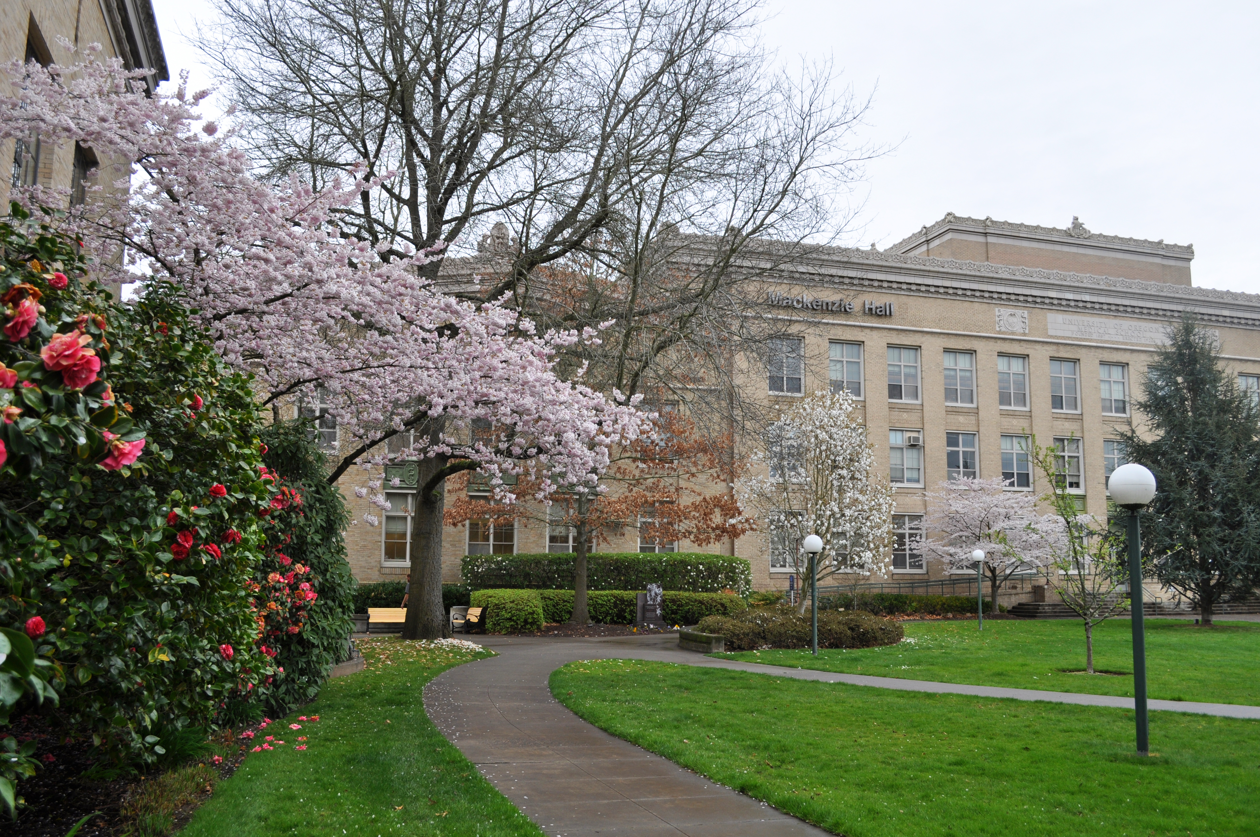 Macenize Hall entrance during spring
