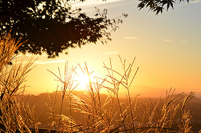 Morning light near Kohler, a golden hazy horizon, with grass in the foreground