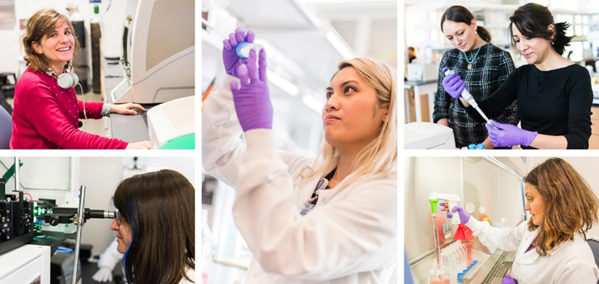 CEDAR scientists working in a lab