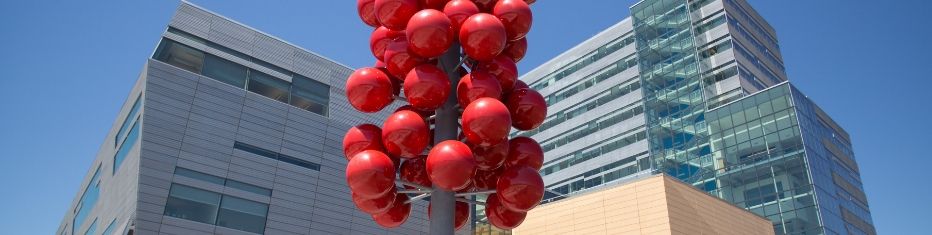 OHSU School of Dentistry