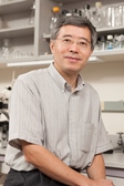 Tianying Ren, M.D.
