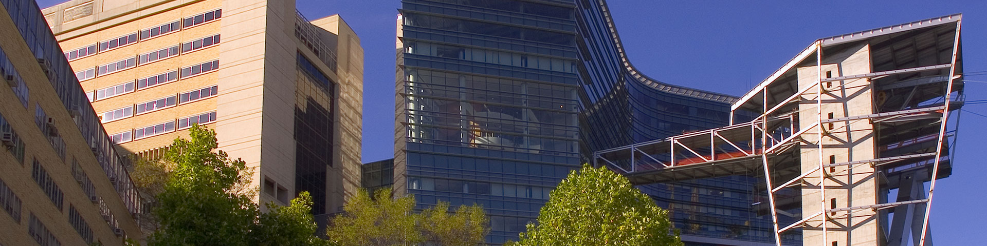 OHSU image