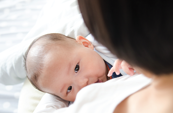 Young baby nursing