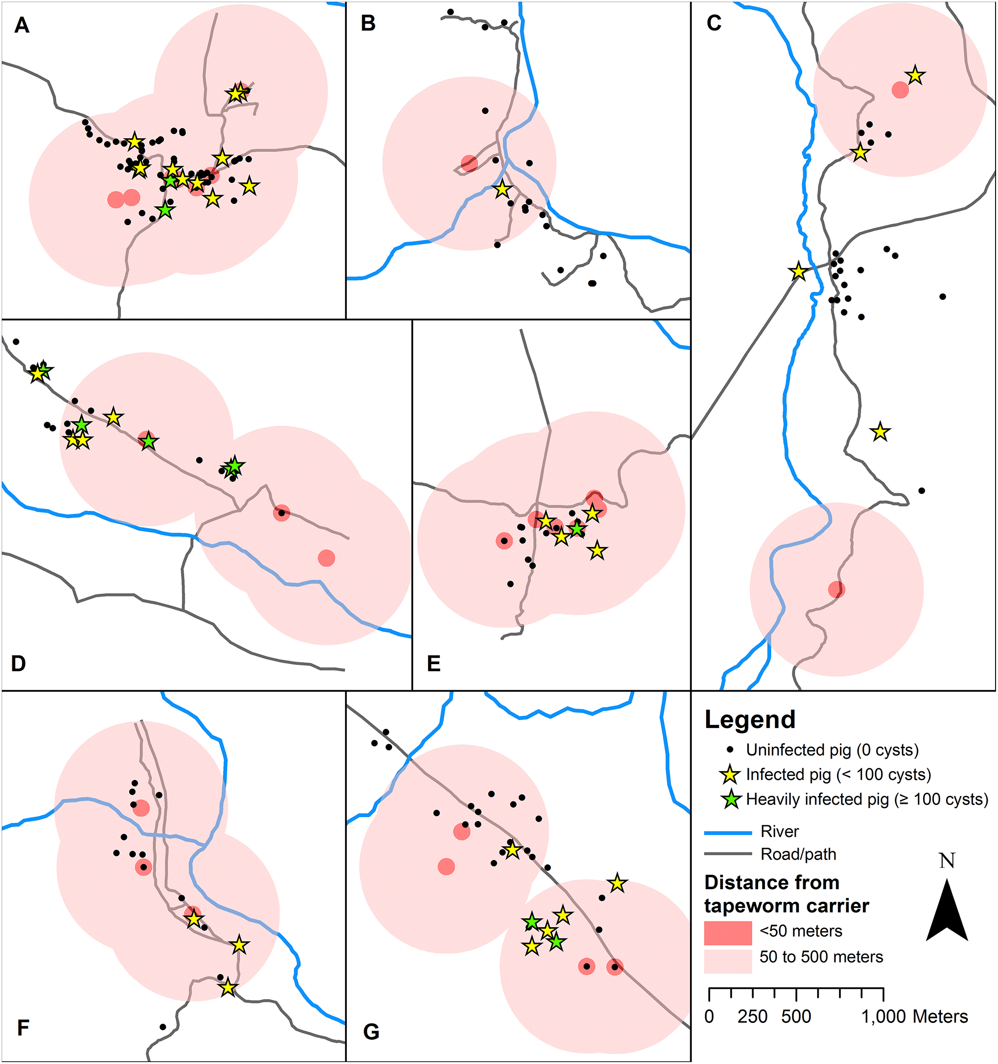 Spatial relationship between Taenia solium tapeworm carriers and necropsy cyst burden in pigs