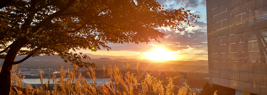 Sunrise from OHSU's Kohler Pavilion on Marquam Hill.