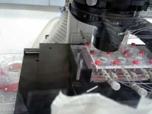 A view of a live imaging set up for an impinging flow device