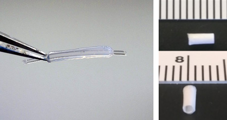 Forceps grasping a regular-shaped clear substance (left) and two white tubular structure next to a ruler for scale
