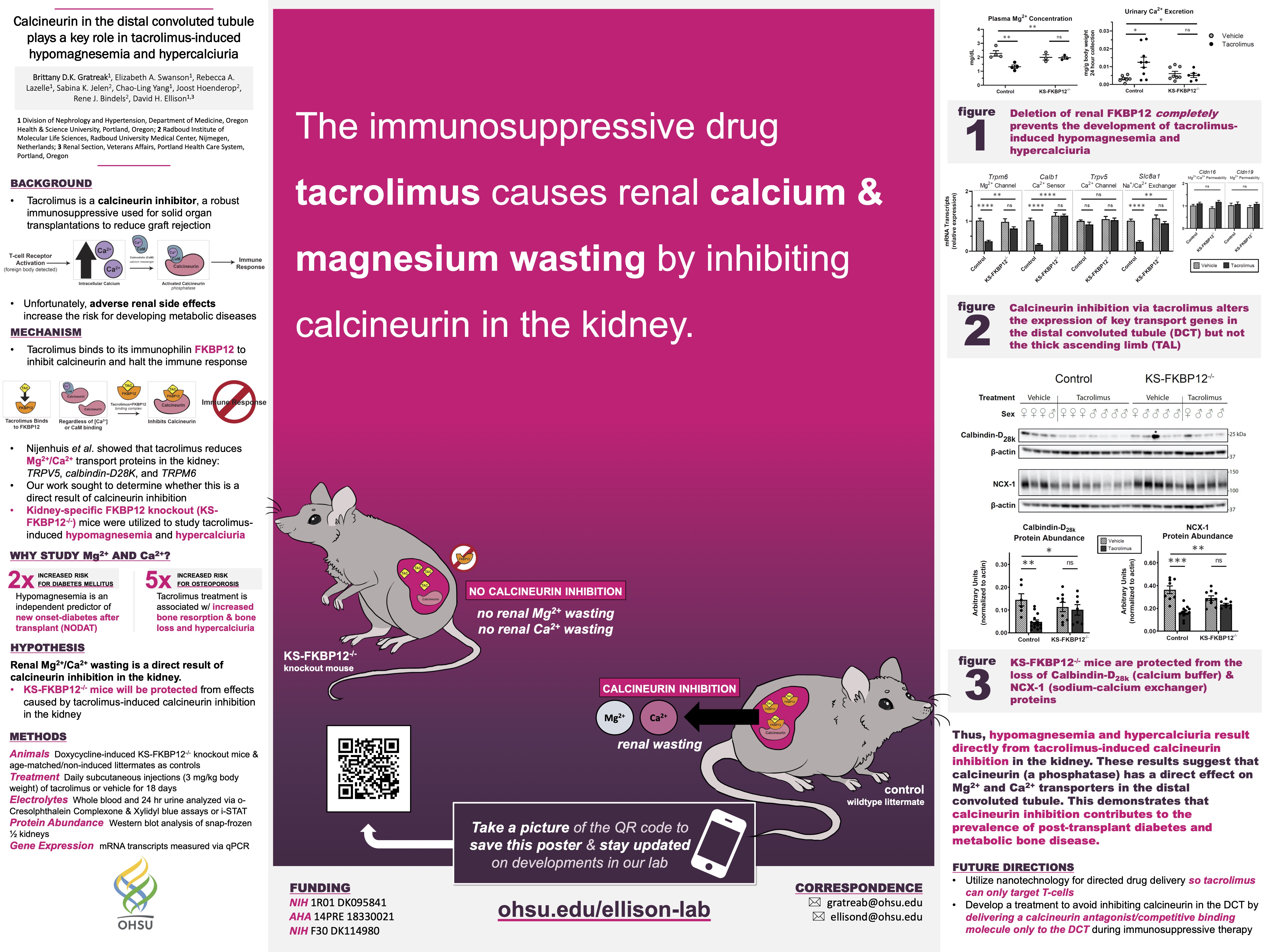 Tacolimus poster BDKG