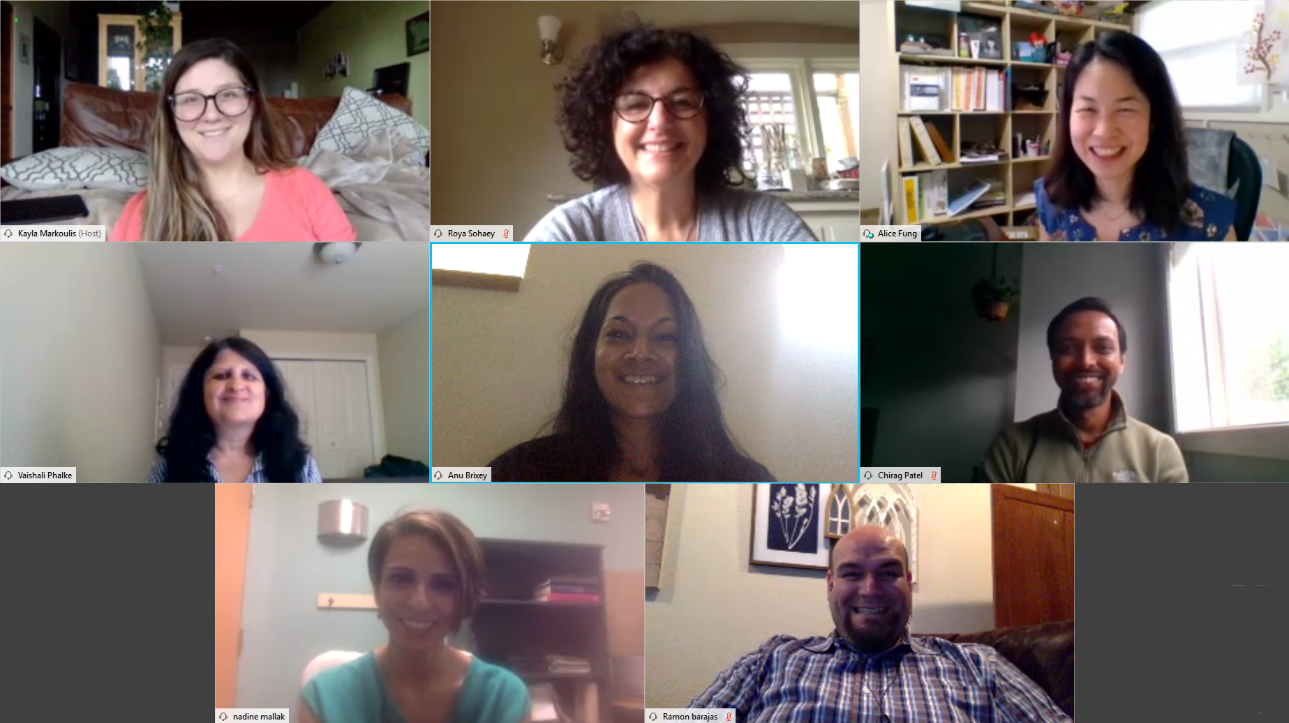 Diagnostic Radiology Diversity and Inclusion Committee meeting over webex. Kayla Markoulis, Roya Soheay, Alice Fung, Vaishali Phalke, Anu Brixey, Chirag Patel, Nadine Mallak and Ramon Barajas.