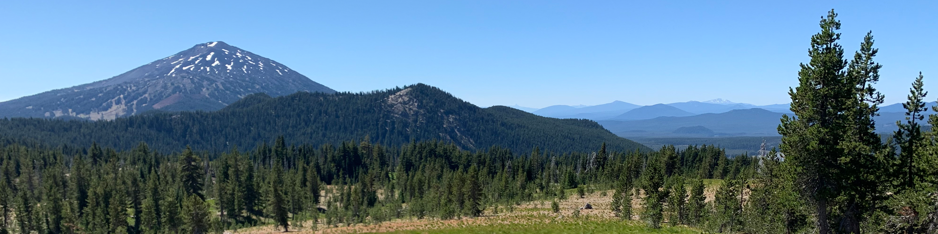 Field with Mountain
