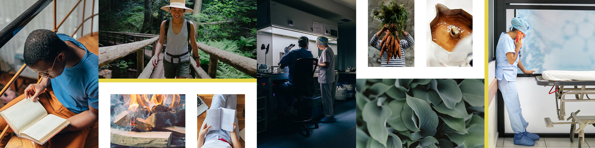 A collage of images containing people, outdoors, studying