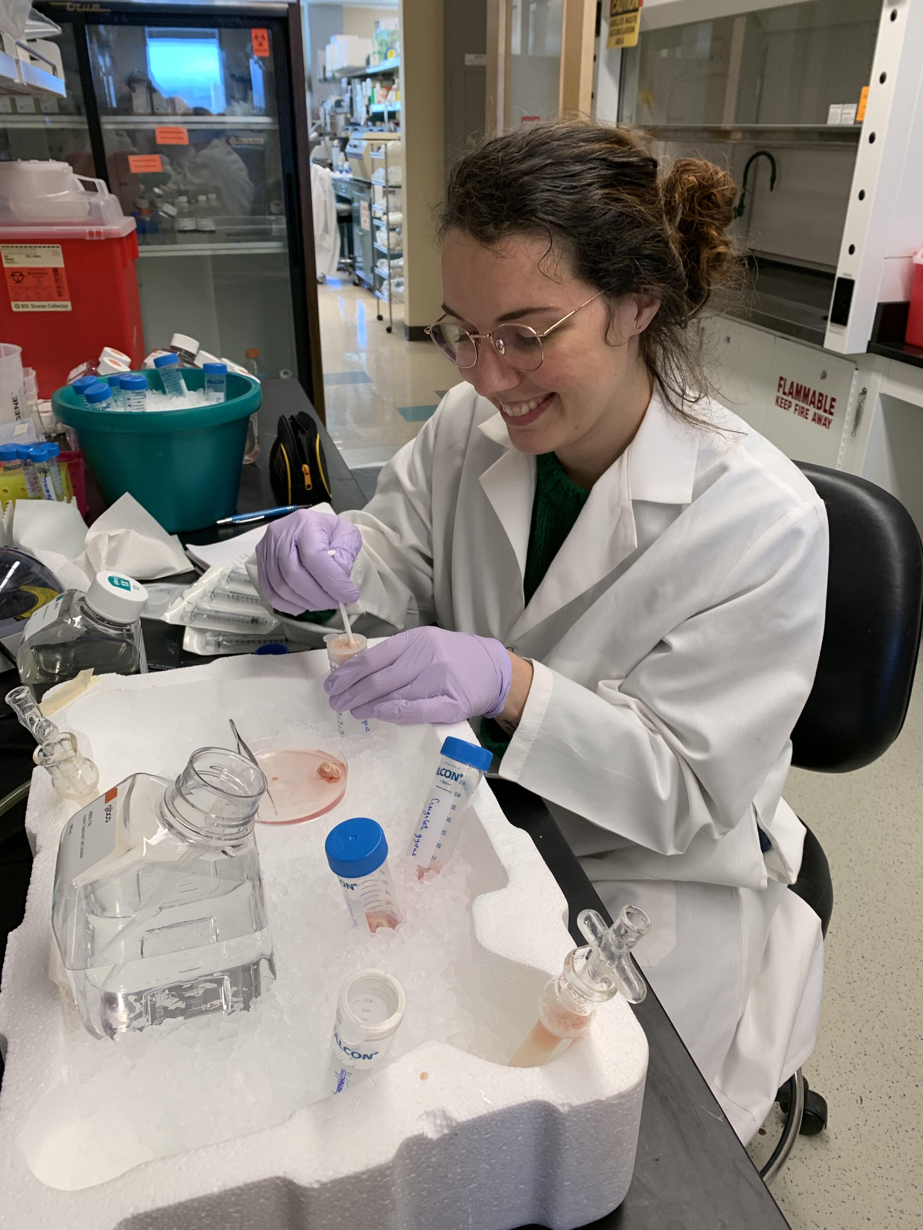 Aude's First Experiment