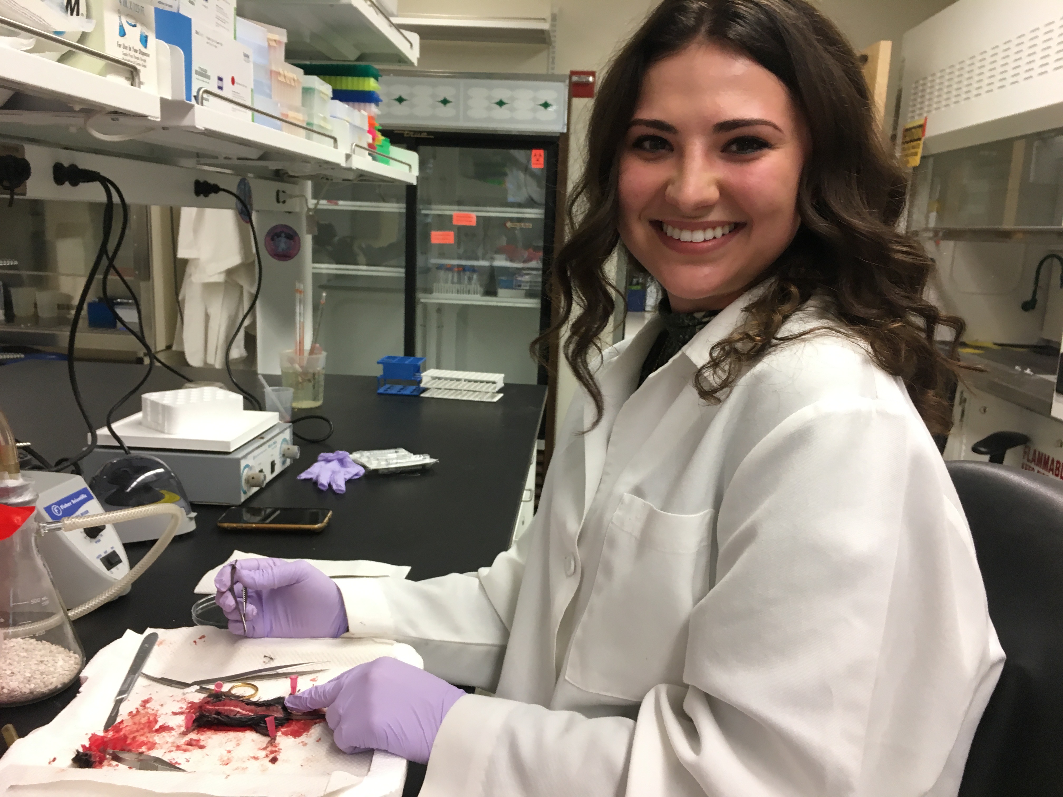 Alina's First Experiment