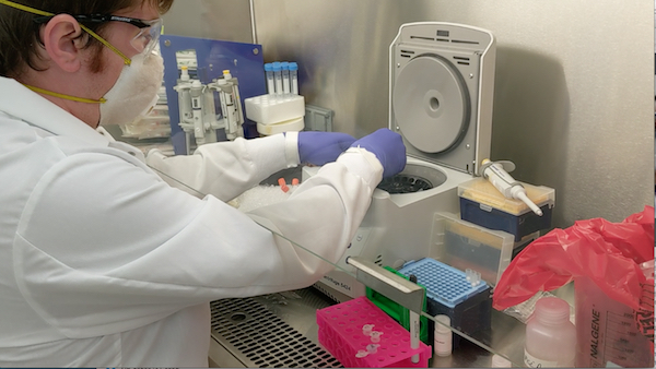 covid sequencing processing by brendan o'connell