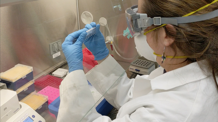 covid sequencing processing by ruth o'connell