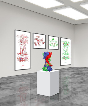 P2X7 receptor as an exhibit in an art gallery