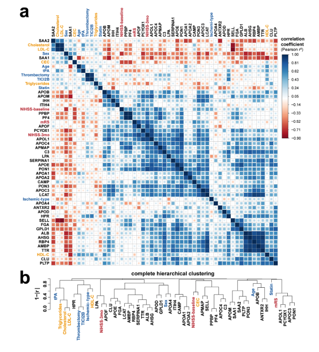 Hiererchical clustering