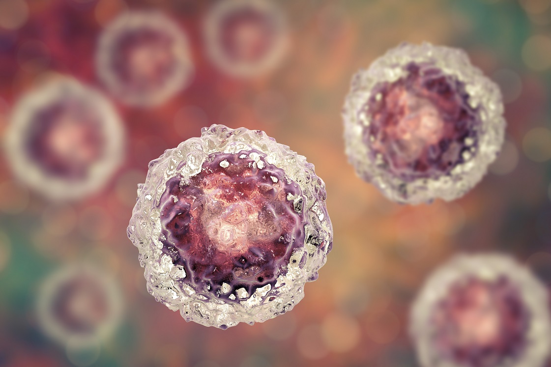 Stem cells