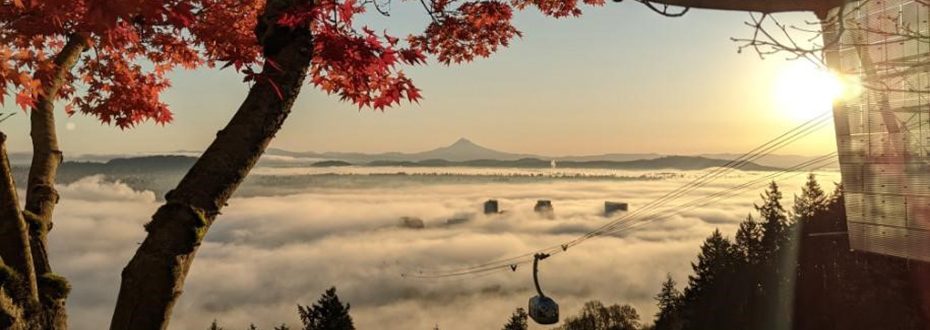 The view from the top of OHSU's Tram at sunrise.