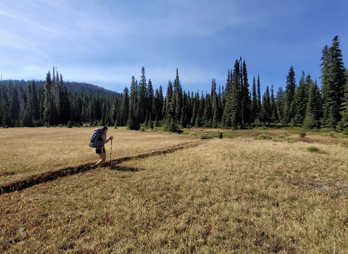 2021 - Resident Backpacking at Mt. Baker