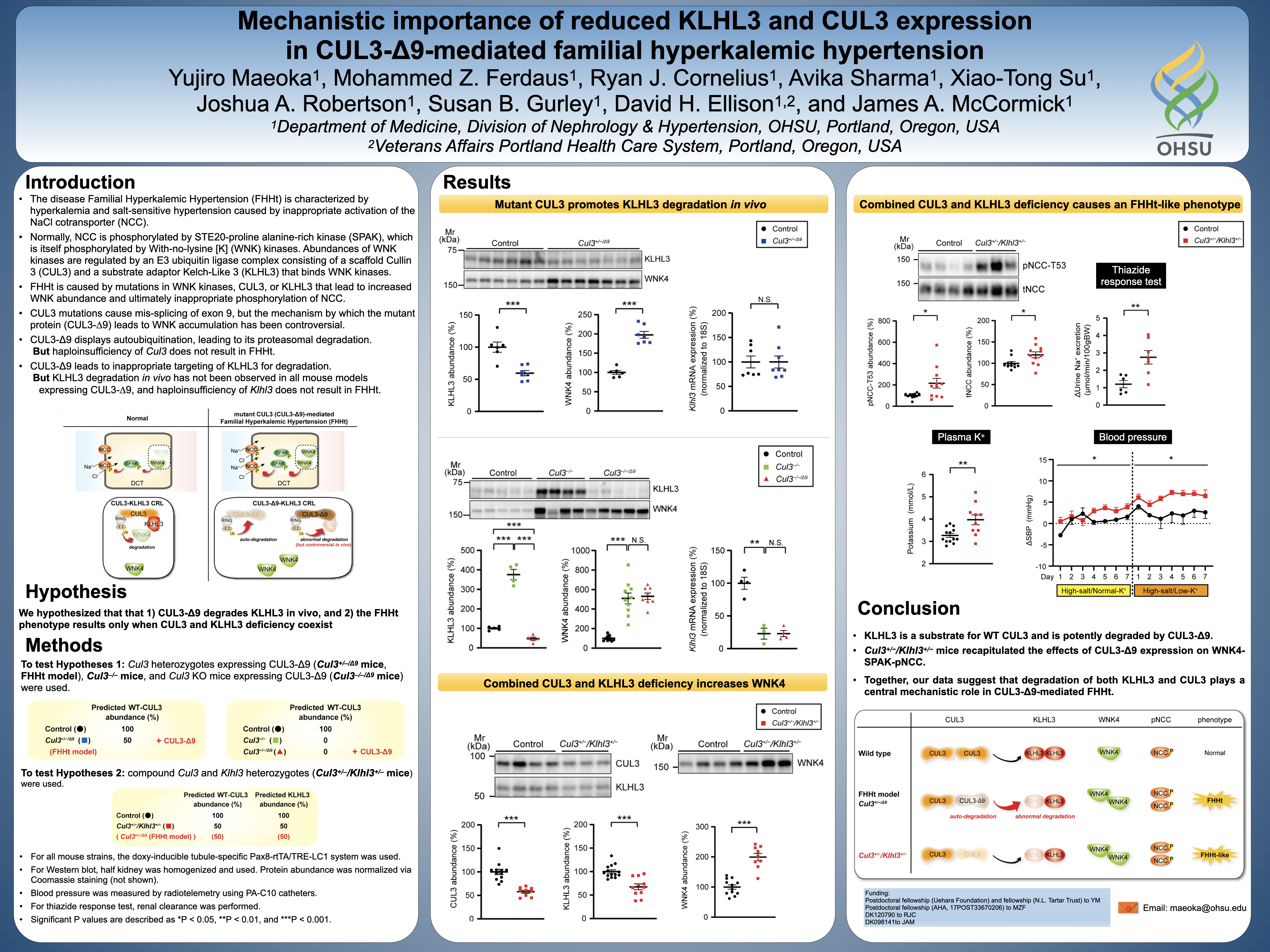 Mechanistic importance of reduced KLHL3 and CUL3 expression in CUL3-A9-mediated familial hyperkalemic hypertension