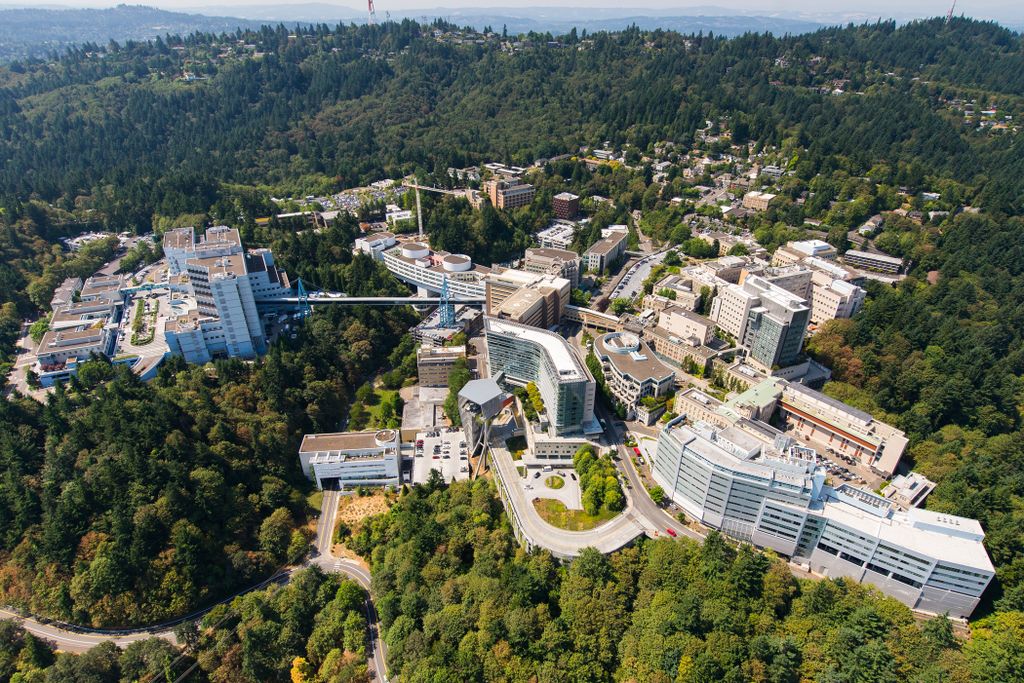 OHSU View
