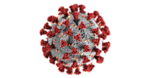 a spherical shaped object that has a fuzzy grey exterior with red nodes