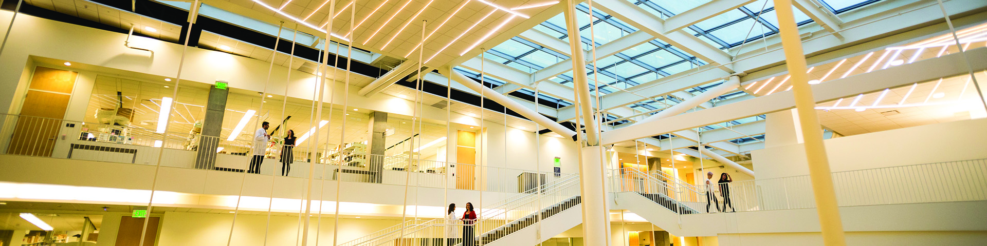 Photograph of people walking on the upper hallways of a research building.