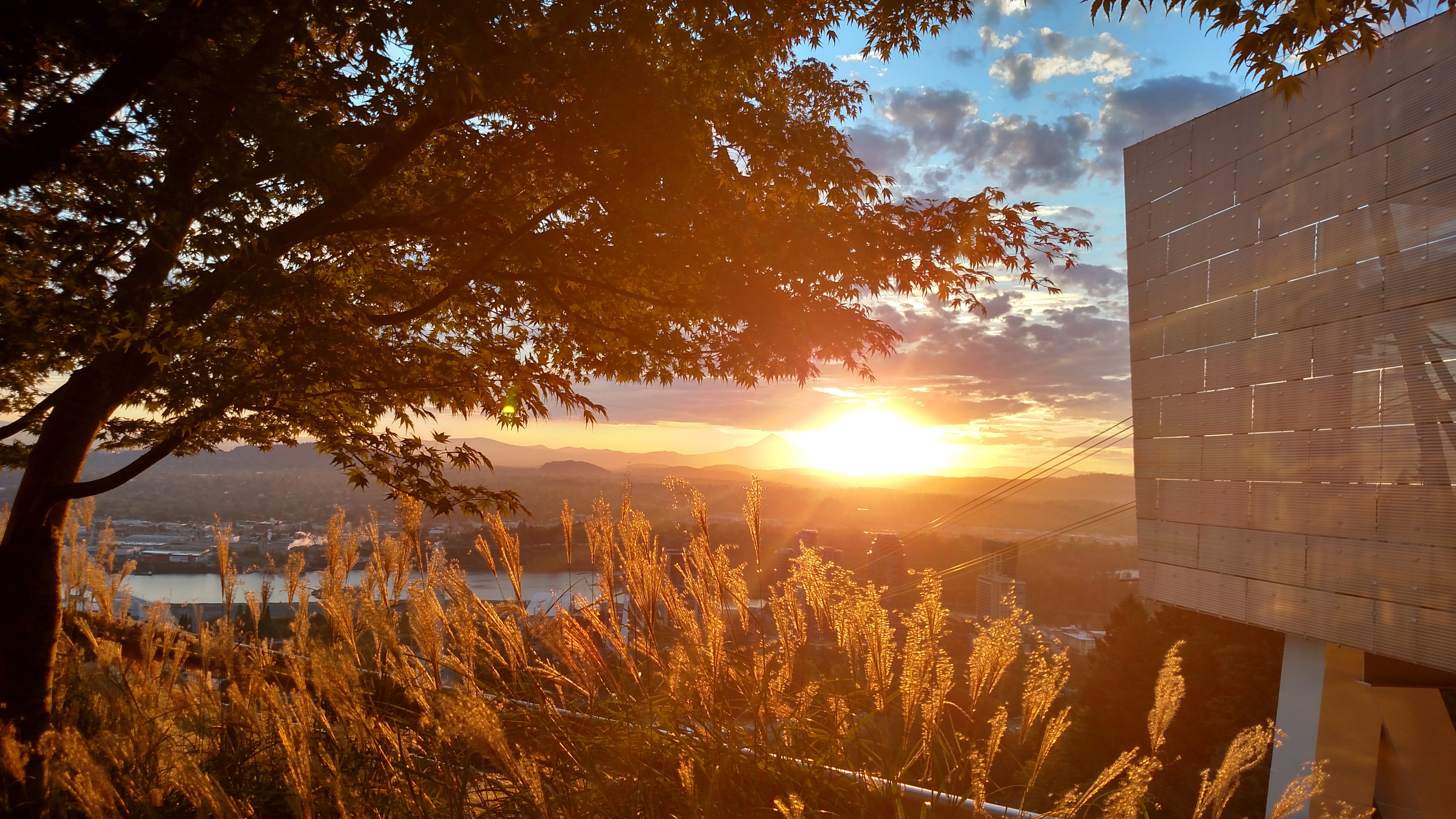 Image of a sunrise looking east