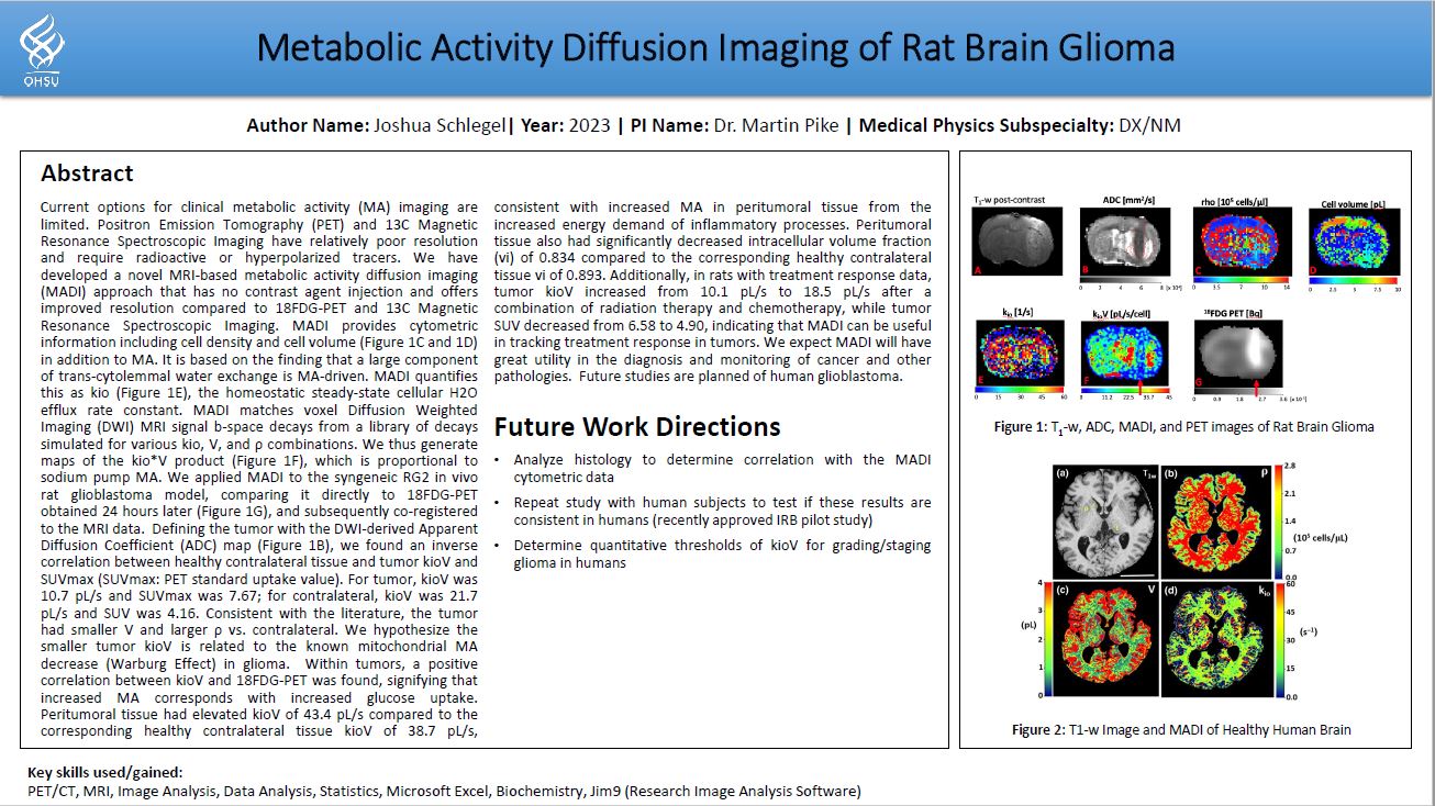 Thesis Project Overview