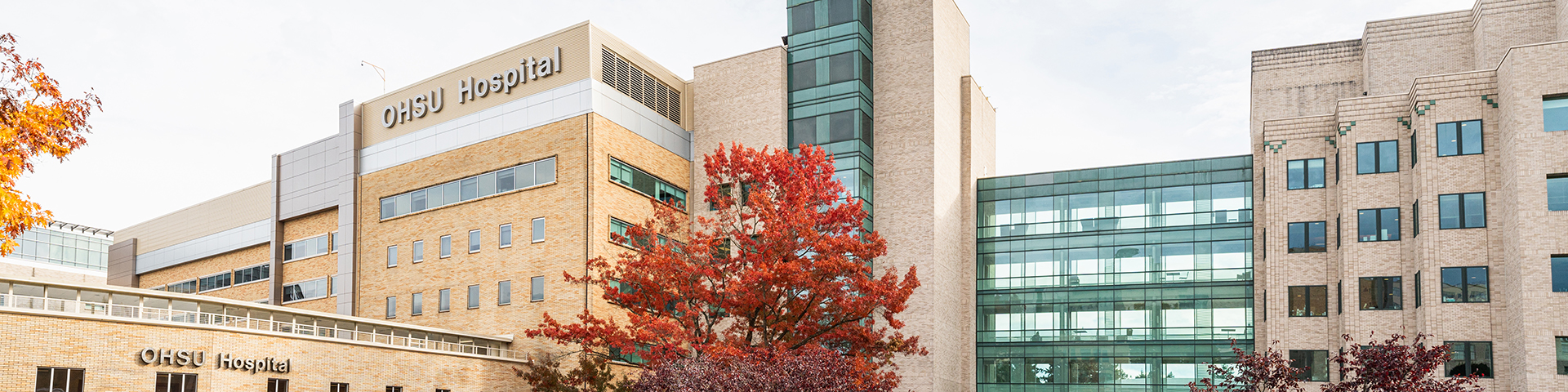 OHSU Hospital with fall foliage in foreground