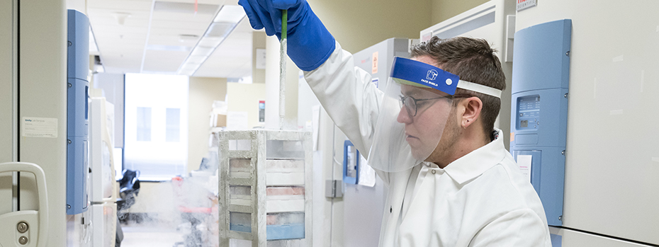 Person with face shield and gloves lifts frozen cells out of liquid nitrogen storage