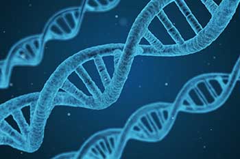 Closeup of three DNA strands.