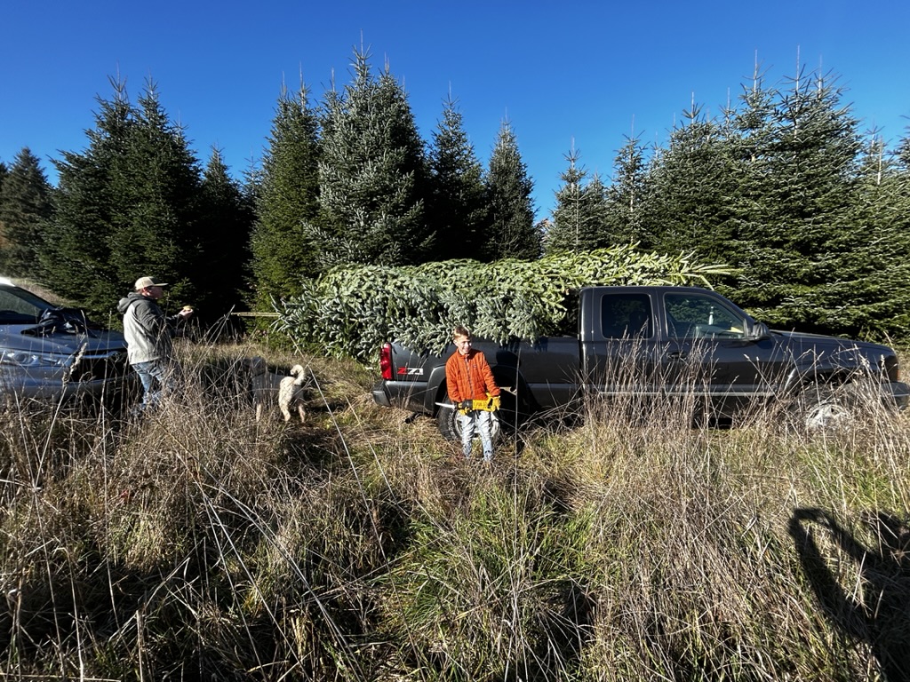 Amy Moran & family cutting tree for holiday party