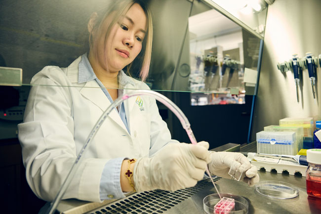 An OHSU researcher uses a syringe to drop liquid drops into a sample.