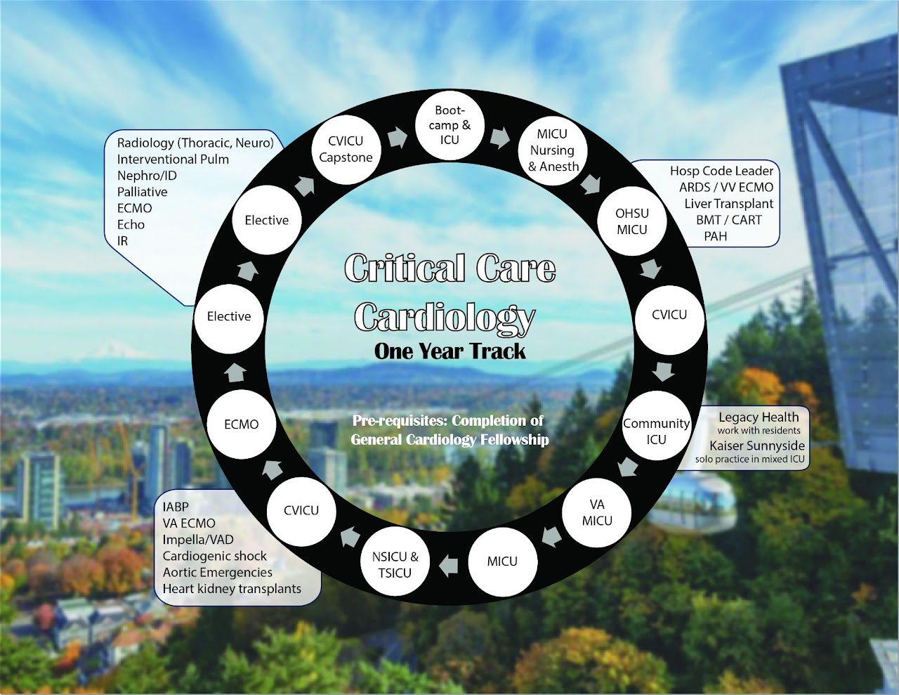 Critical Care Rotation Schedule