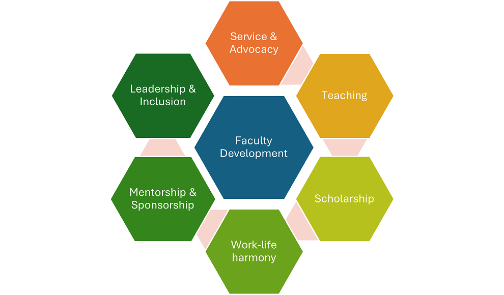 DoM Faculty Development Structure