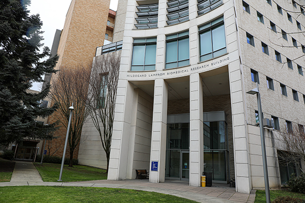 The exterior of the Lamfrom Biomedical Research Building at OHSU includes square columns. The exterior of the Lamfrom Biomedical Research Building at OHSU includes square columns.