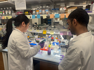 Ph.D. student Jee Min Lee and Dhanir Tailor, Ph.D., in the OHSU Knight Cancer Institute’s Center for Experimental Therapeutics. (OHSU)