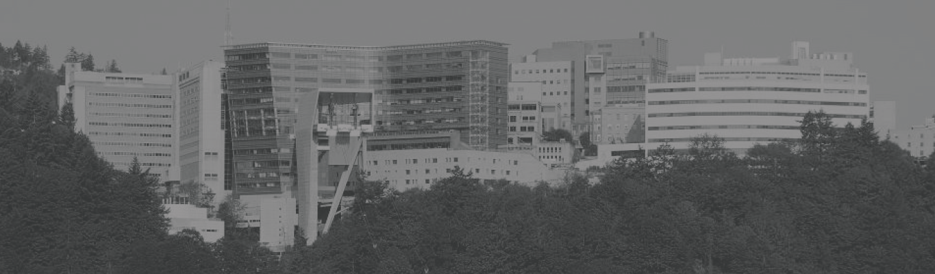 Banner for New Faculty Foundations program featuring wide view of OHSU's campus