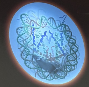 BEHN_LectureImageblue