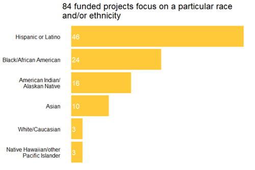Graphic showing 84 projects focus on a particular race or ethnicity