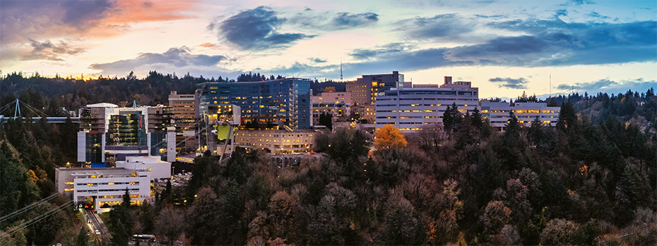 Aerial view of the OHSU campus at sunset