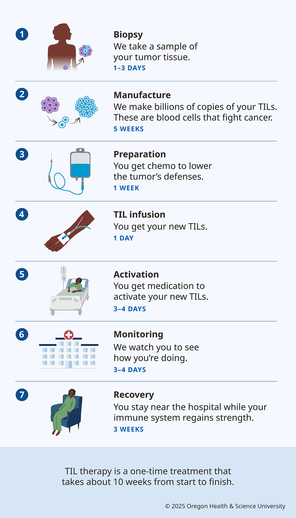 Infographic shows the steps of TIL therapy: collecting a tumor sample, isolating TILs, expanding TILs, chemotherapy, and giving the TILs back to the patient.