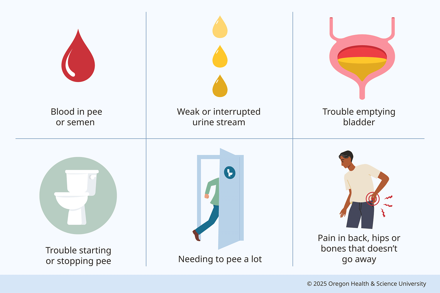An illustration shows six symptoms of prostate cancer: blood in pee or semen; weak or interrupted urine stream; trouble emptying bladder; trouble starting or stopping pee; needing to pee a lot; pain in back, hips or bones that doesn’t go away.